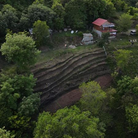 Tsanava'S Cottage In Sighnaghi Luaran gambar
