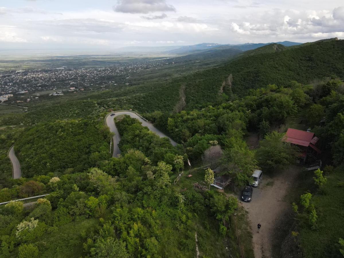 Tsanava'S Cottage In Sighnaghi Luaran gambar