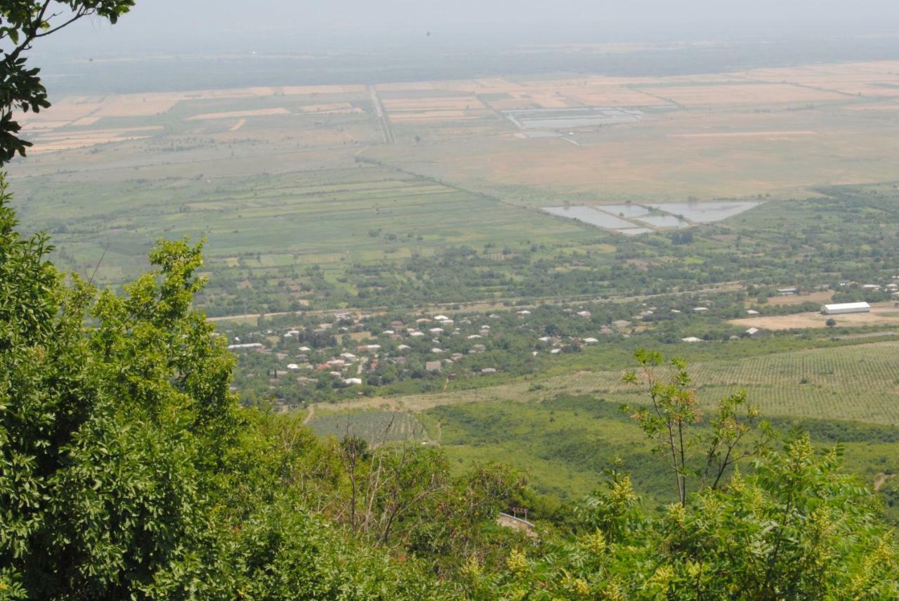 Tsanava'S Cottage In Sighnaghi Luaran gambar
